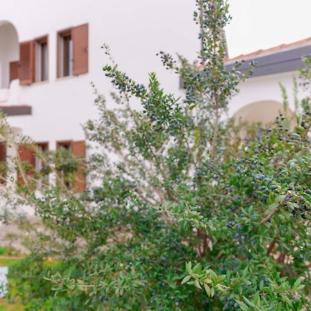 Villa Wunjo Iun R3267 La Maddalena  Exteriör bild